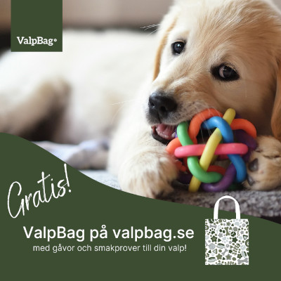 Nya valpkitet ValpBag med gratis smakprover, leksaker mm.